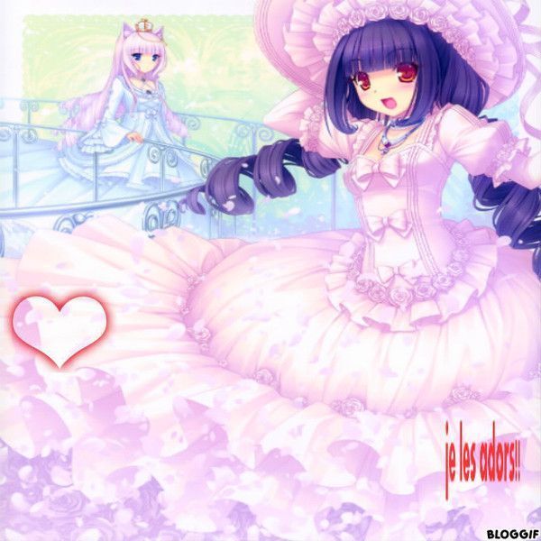 Image de Chocola et Vanilla